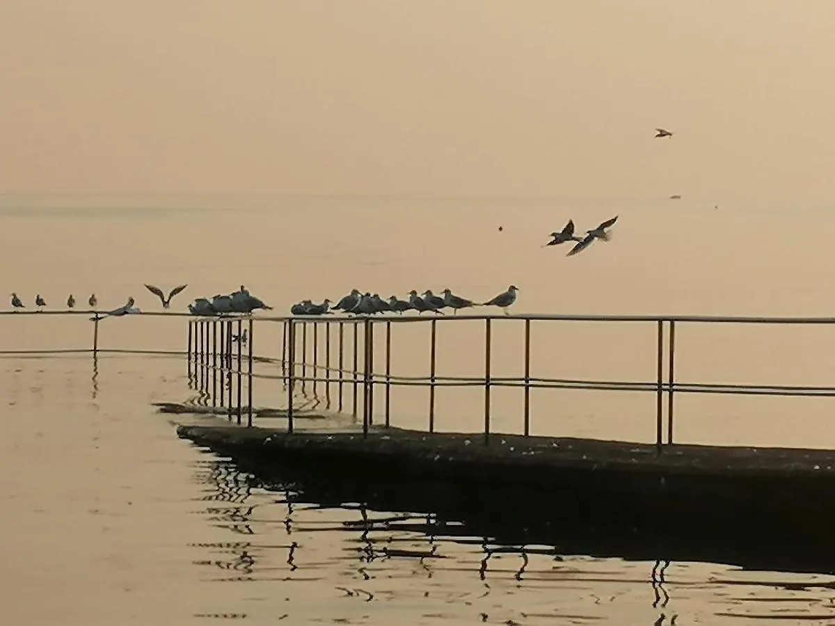 Apartments Jurisevic Umag Croatia